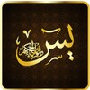 Yasin Pro