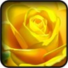 Yellow 3d Wallpapers