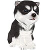 Youndoo [Cute Puppy]