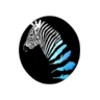 Zebra Wallpapers