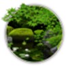 Zen Garden -Summer-