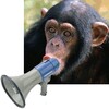 ZooSoundBoard