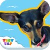 Zulas Flying Adventures