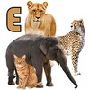 تعليم أسماء الحيوانات باللغة الانجليزية