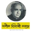 নসীম হেজাযী সমগ্র